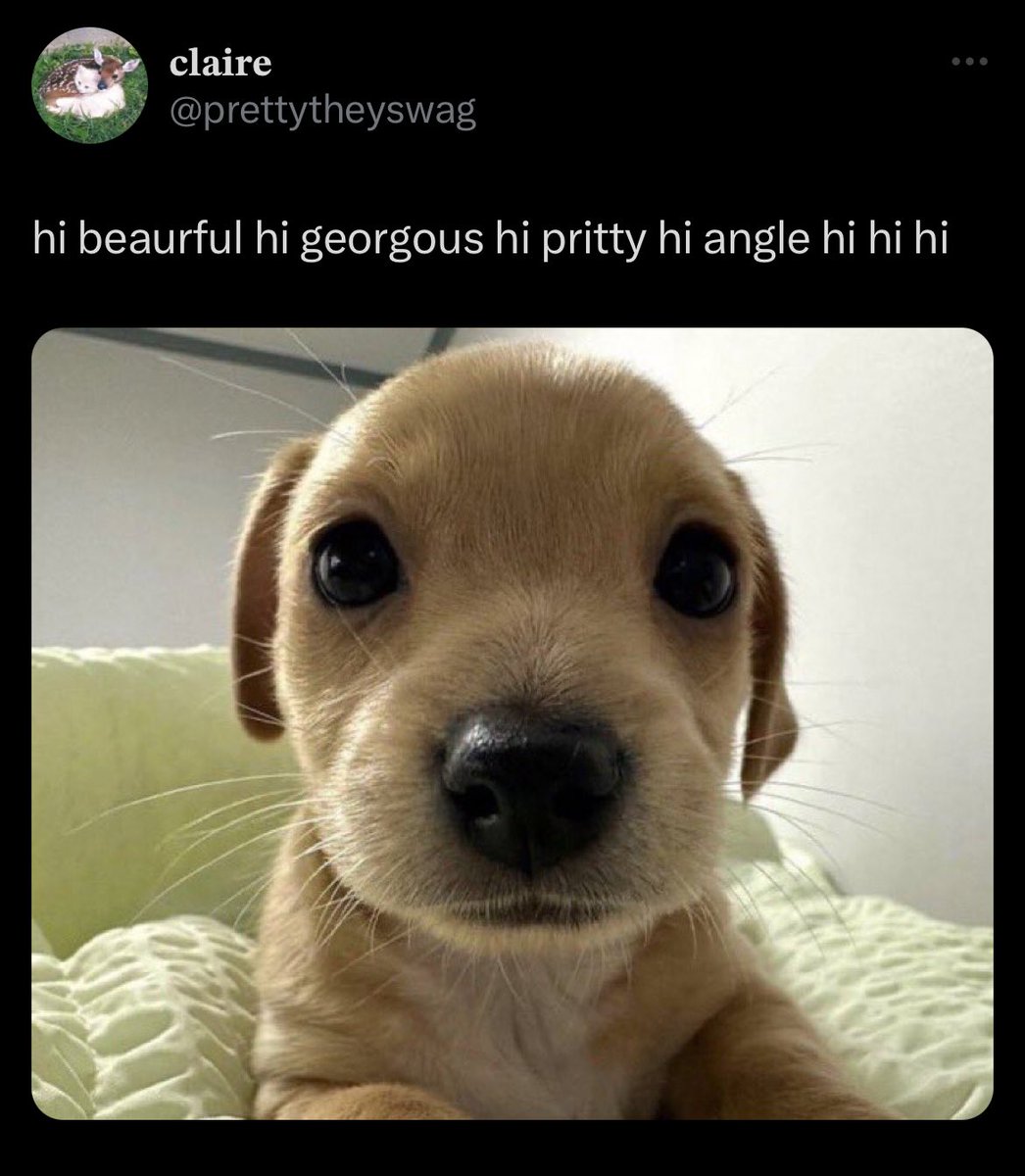 these eyes.... literally haechan 😭