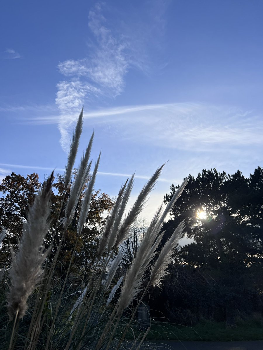 SutchFun's tweet image. Feeling lucky for these views on this walk #NatureNotes