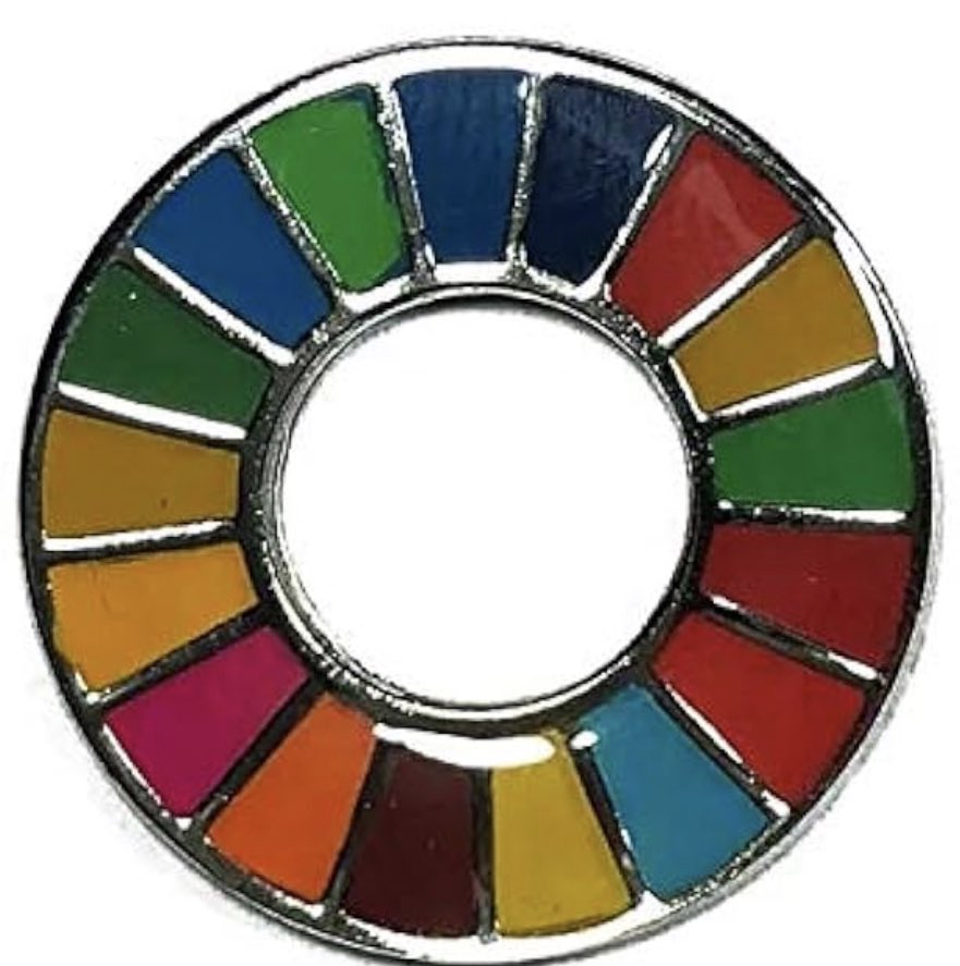 gisbert_ruben's tweet photo. Hay una insignia que todos los políticos con cargo institucional llevan indistintamente del partido o ideología, incluso el propio jefe del Estado que jamás debería posicionarse ideológica o políticamente, ADIVINEN CUÁL de ESTAS LLEVAN Y CUÁL DEBERIAN LLEVAR: https://t.co/UM3vH17ioh