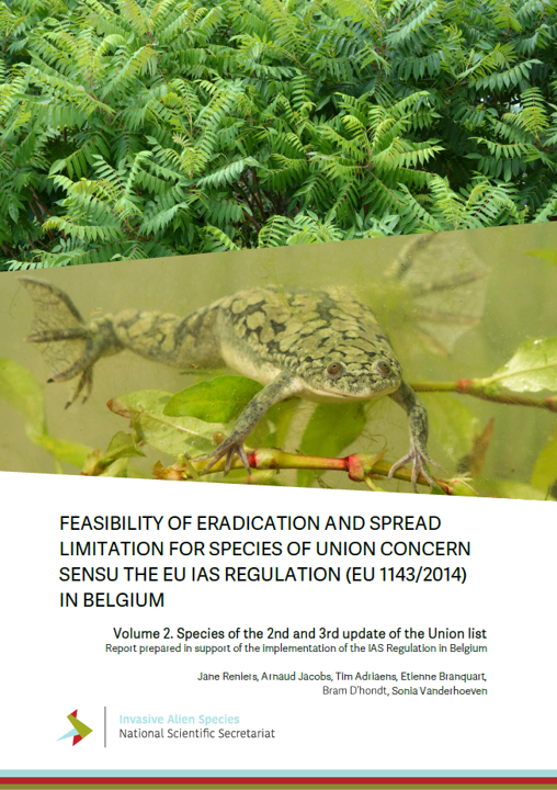 🆕Report on feasibility of management of IAS of Union concern in Belgium🇧🇪 It provides evidence base for management decisions, thanks to a collaborative effort of more than 30 experts 🙏 🐟This volume covers species of the Union list 2nd and 3rd updates ➡️doi.org/10.5281/zenodo…