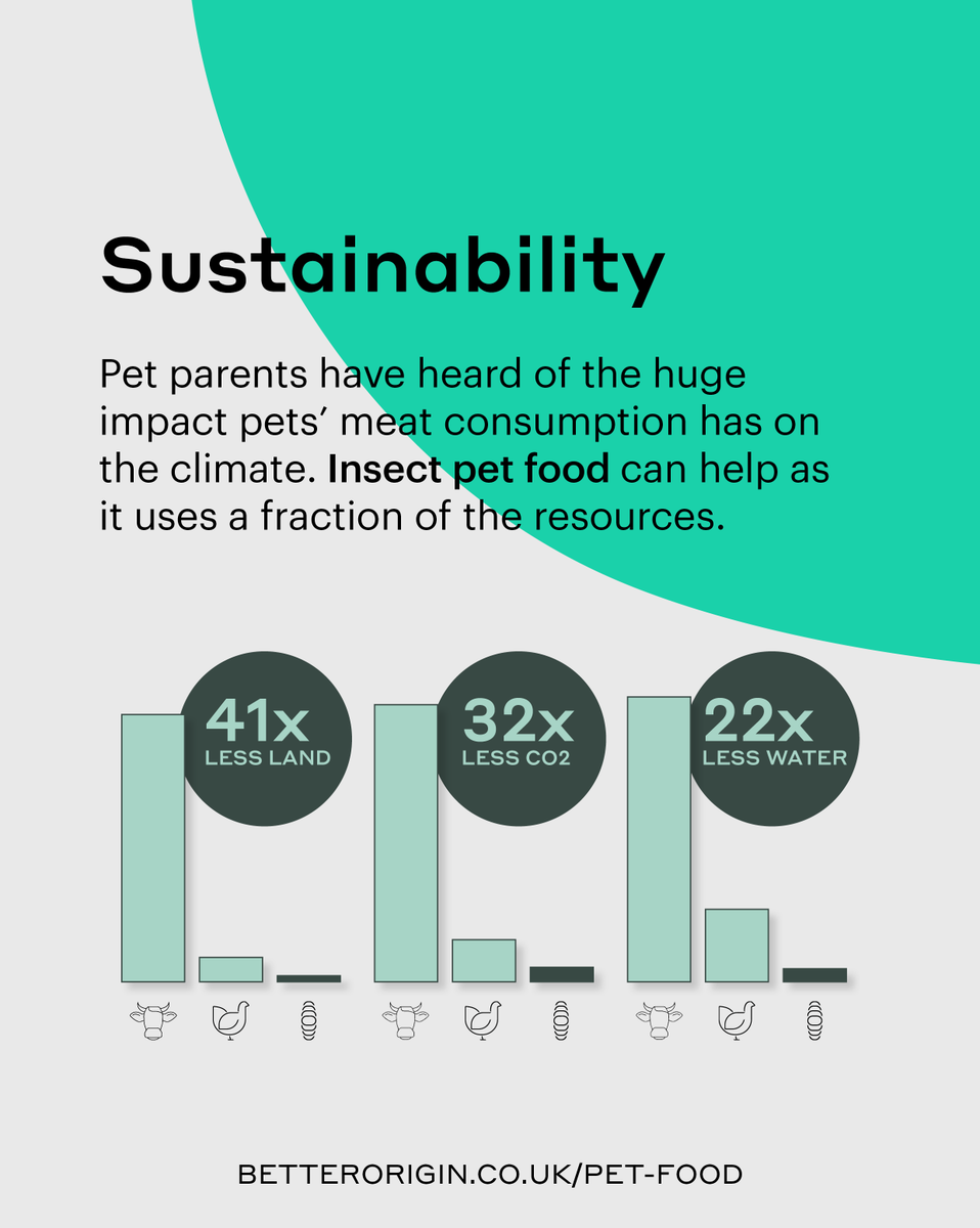 Better Origin tweet media