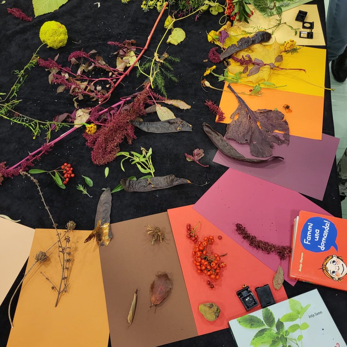 Con #BergamoScienza i docenti tornano sui banchi di scuola!
Continua il ciclo di incontri LA SCIENZA IN CLASSE!
I percorsi sono strutturati per la scuola dell'infanzia, la primaria e la secondaria di primo grado. Mettere al centro della formazione il metodo scientifico si può!🧬