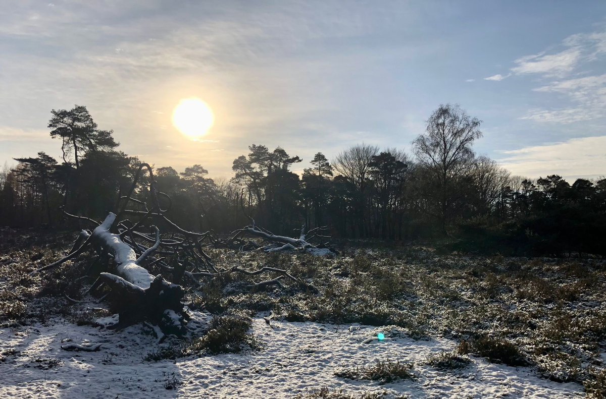 Er kwamen mooie winterse plaatjes langs vandaag, zoals deze gemaakt op De Dellen door onze boswachter <a href="/ClaraWilken/">Clara Wilken</a> #MooiGelderland ✨