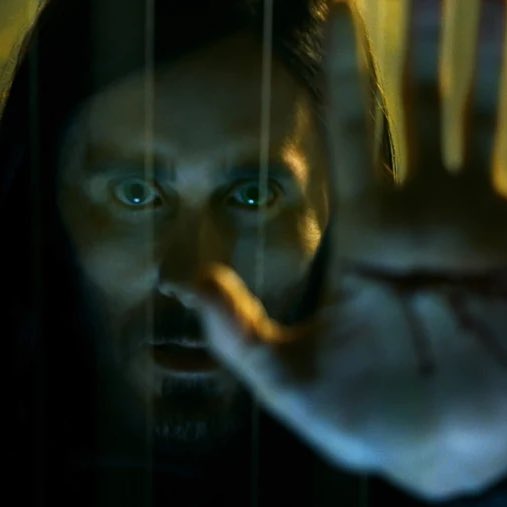 The Hollywood Handle tweet media