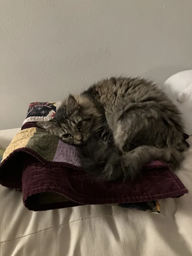 corpserevivers's tweet photo. moonshot podcat https://t.co/fCbn0xoV12
