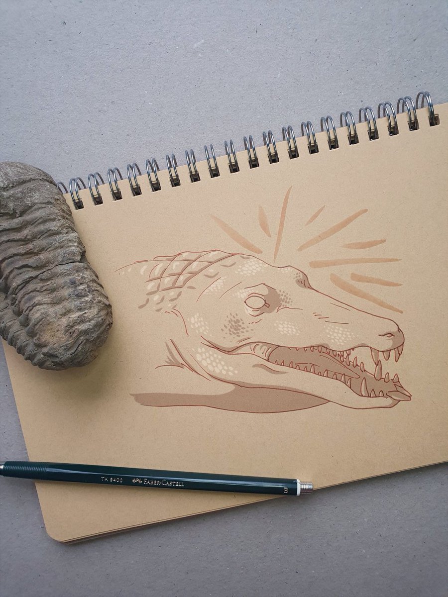 ConfusedHadro's tweet photo. #Archovember Day 29: Araripesuchus rattoides

#paleoart #palaeoart #dinosaur #art #dinovember #Araripesuchus #Notosuchia #Crocodylomorpha #Pseudosuchia https://t.co/CMhT6xkTRg