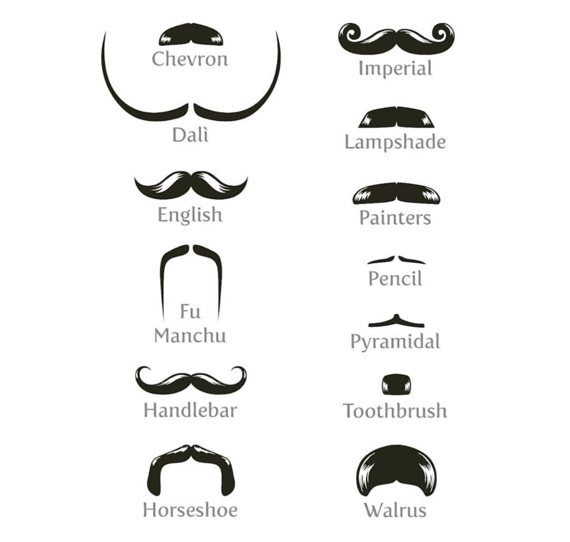 movemberpt's tweet photo. Qual o teu bigode favorito?
Vamos dar um bigode ao cancro da próstata e ao cancro testicular.
#movemberpt #movember2023 #movember #cancro #movemberportugal #vamostocarnesteassunto #vamosdarumbigodeaocancro #vencerocancro #cancroportugal  #cancrodapróstata #cancrodaprostata https://t.co/FWEdSTNV8u