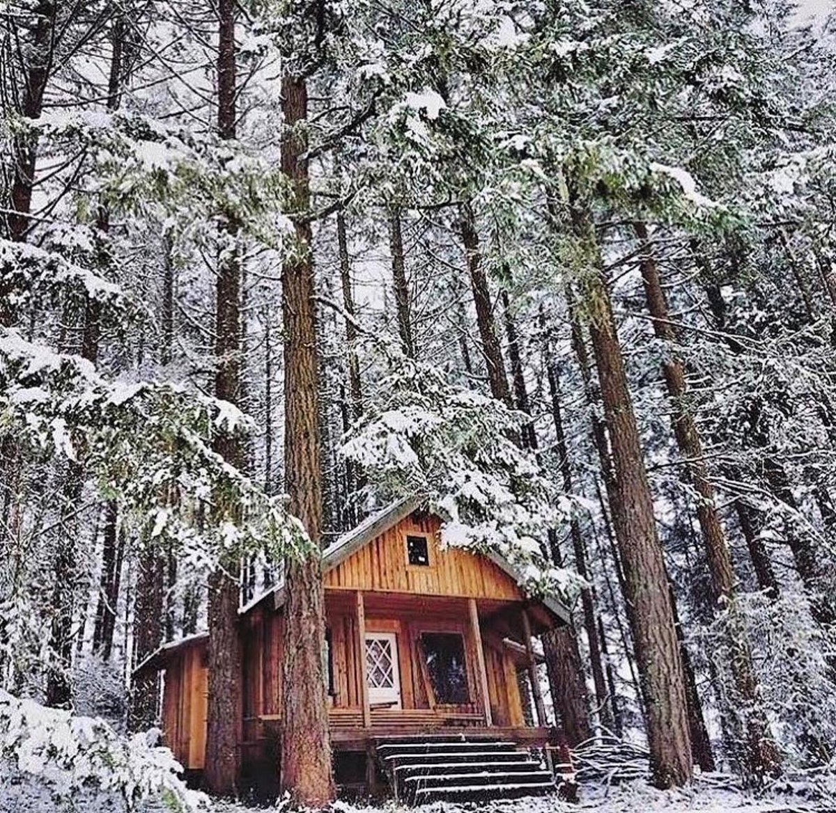 WWOOFing in a Winter Wonderland! ❄️ 

If you’re thinking about #WWOOFing this winter, we’re here to help! While projects might look different depending on the farm, there’s still a ton of fun to be had this upcoming season ☃️ 

Search by your visit dates: wwoofusa.org/hosts