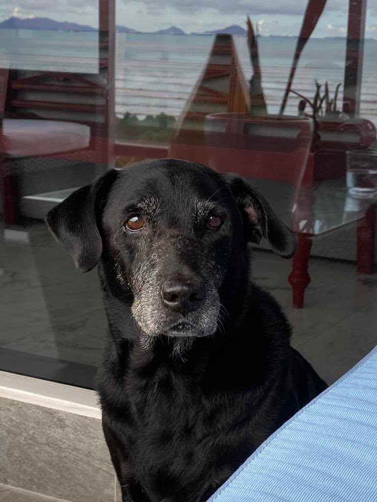 Irma T. Quirós tweet media