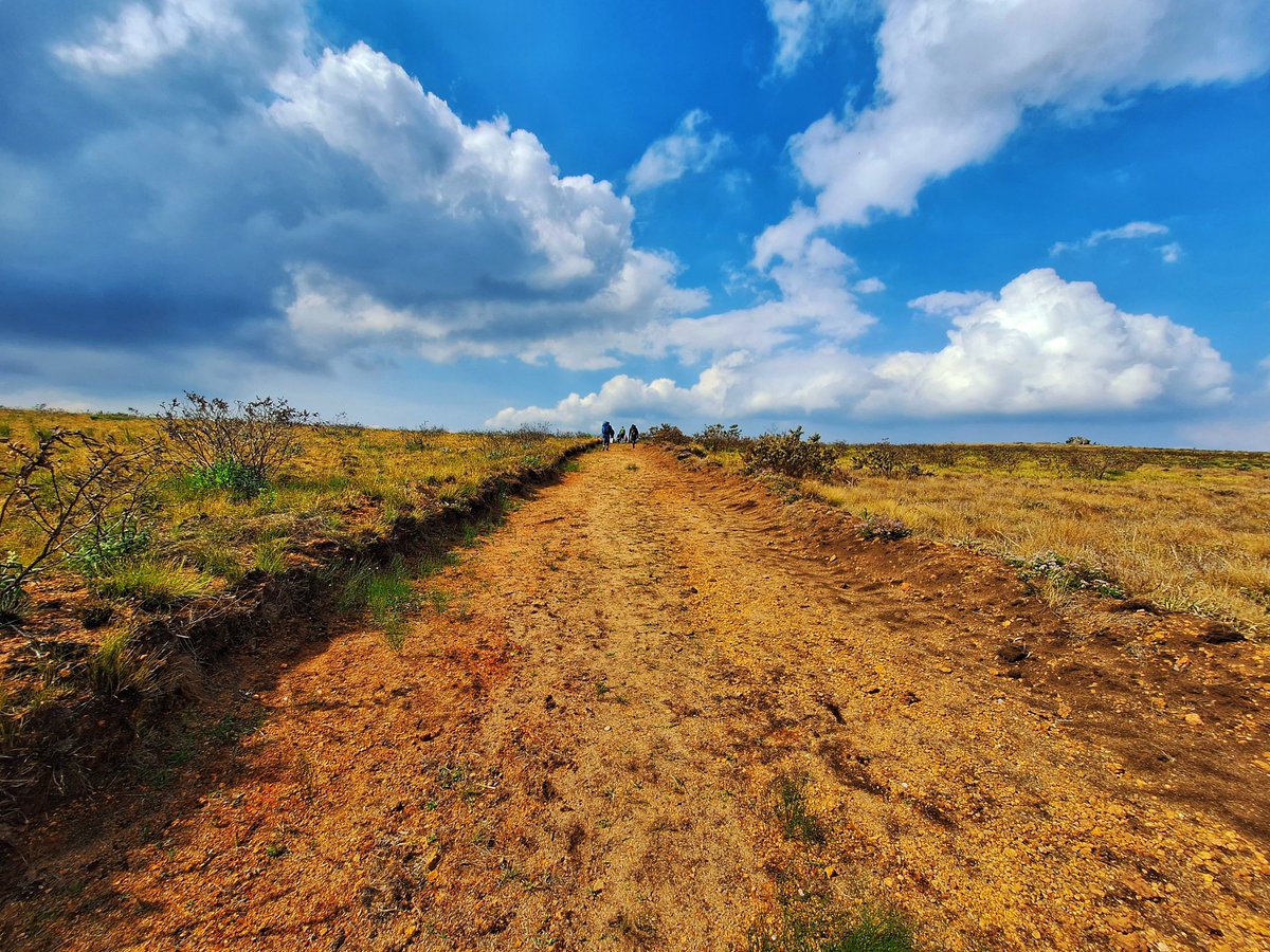 Ontop of Mount Mulanje 😊