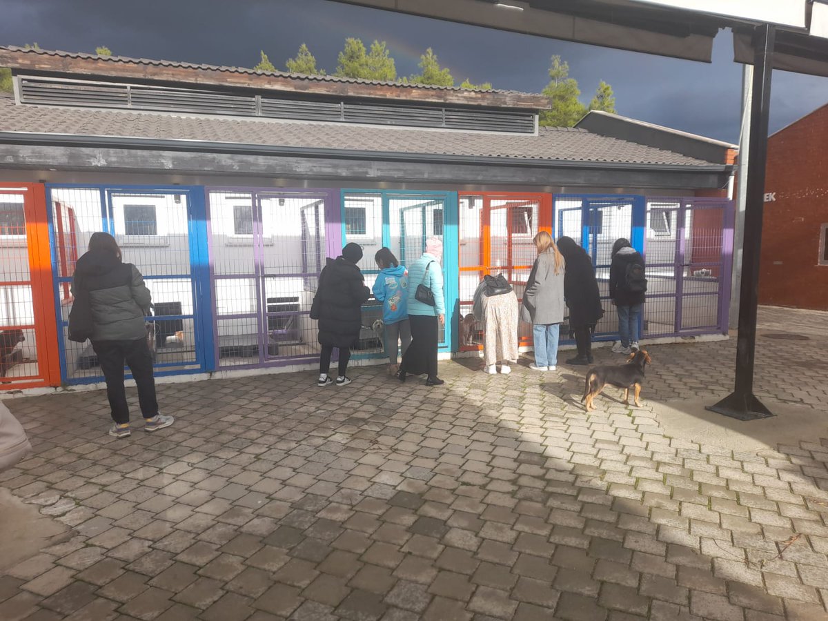 Hayvanları sevmeli, korumalı ve onlarla ilgilenmeliyiz. Pamukkale yurdu öğrencilerimizle birlikte patili dostlarımızı yalnız bırakmadık. Hayvan barınağına ziyaretimizi gerçekleştirdik. <a href="/omer_ilman/">Ömer İlman</a> <a href="/vildanbasbug/">Vildan Basbug 🟢 🇹🇷</a> <a href="/GSB_Denizli/">Denizli Gençlik ve Spor İl Müdürlüğü</a>