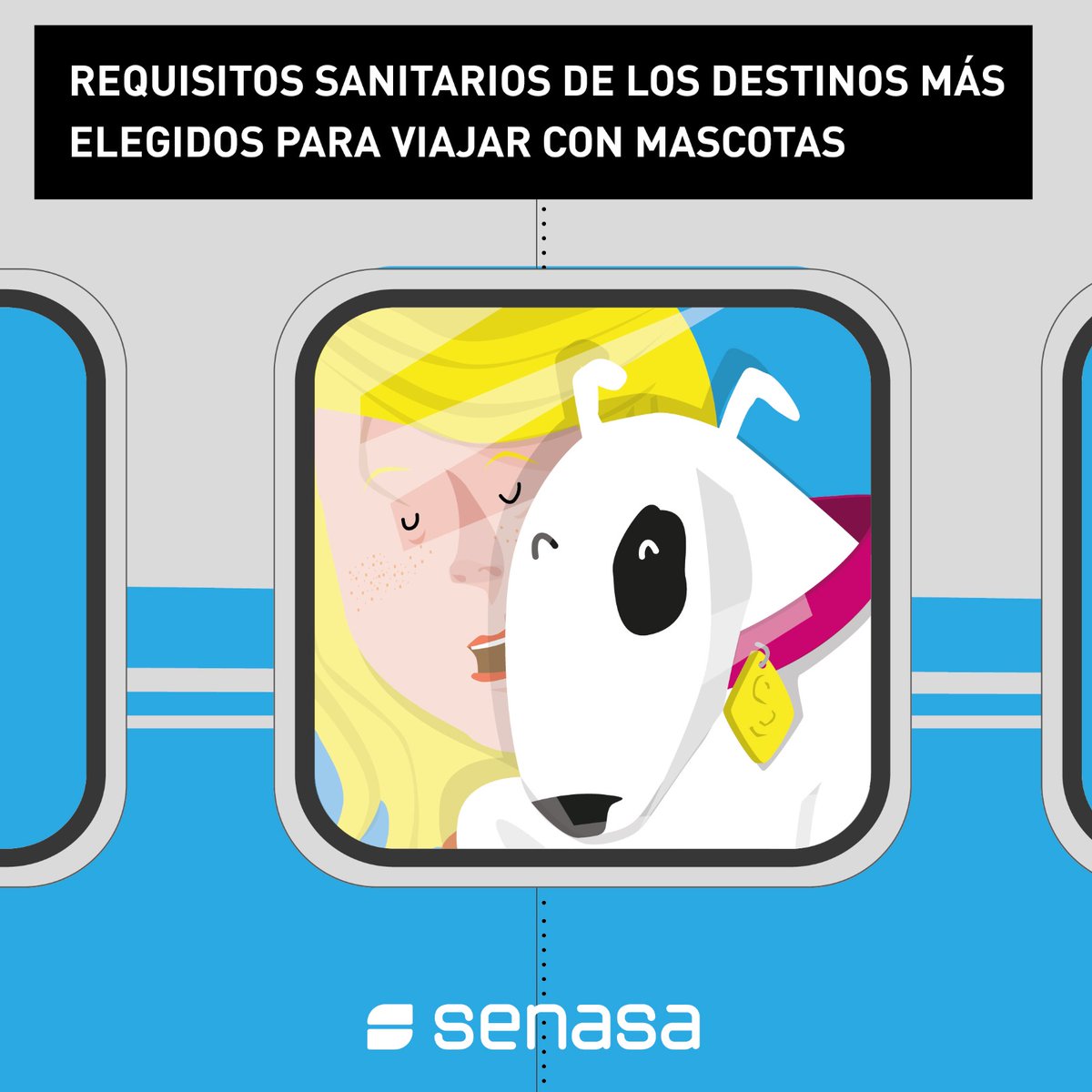 SenasaAR's tweet image. ¿Vas a viajar con tu mascota desde Argentina hacia el exterior? 🇦🇷✈️🐶🐱🌍
Cada país cuenta con sus propias exigencias sanitarias, por eso, es clave conocer cuáles son y tramitar el certificado para trasladarse con un perro o gato. 

➕ℹ️👉 t.ly/L7g3K