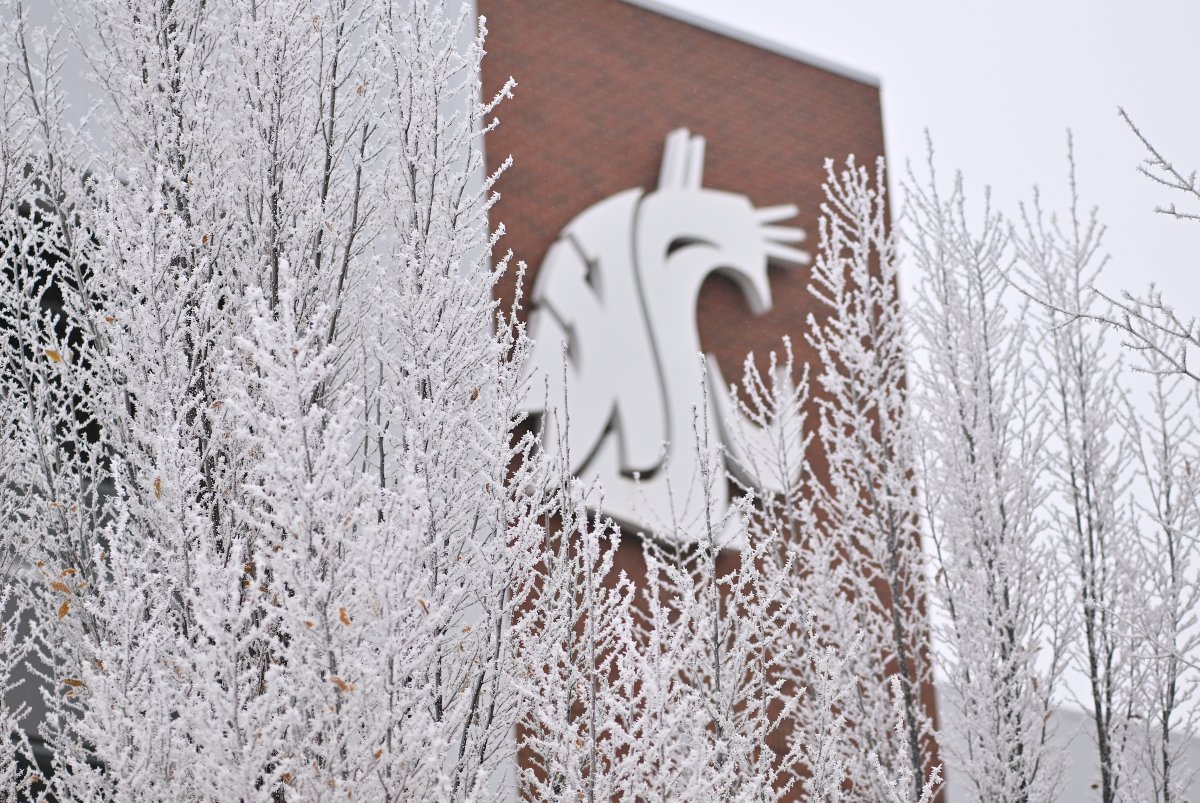 WSUPullman's tweet photo. The #hoarfrost always looks fantastic around campus. 📸: Shelly Hanks, #WSU Photo Services.❄️#GoCougs https://t.co/2FJwYKQBIS