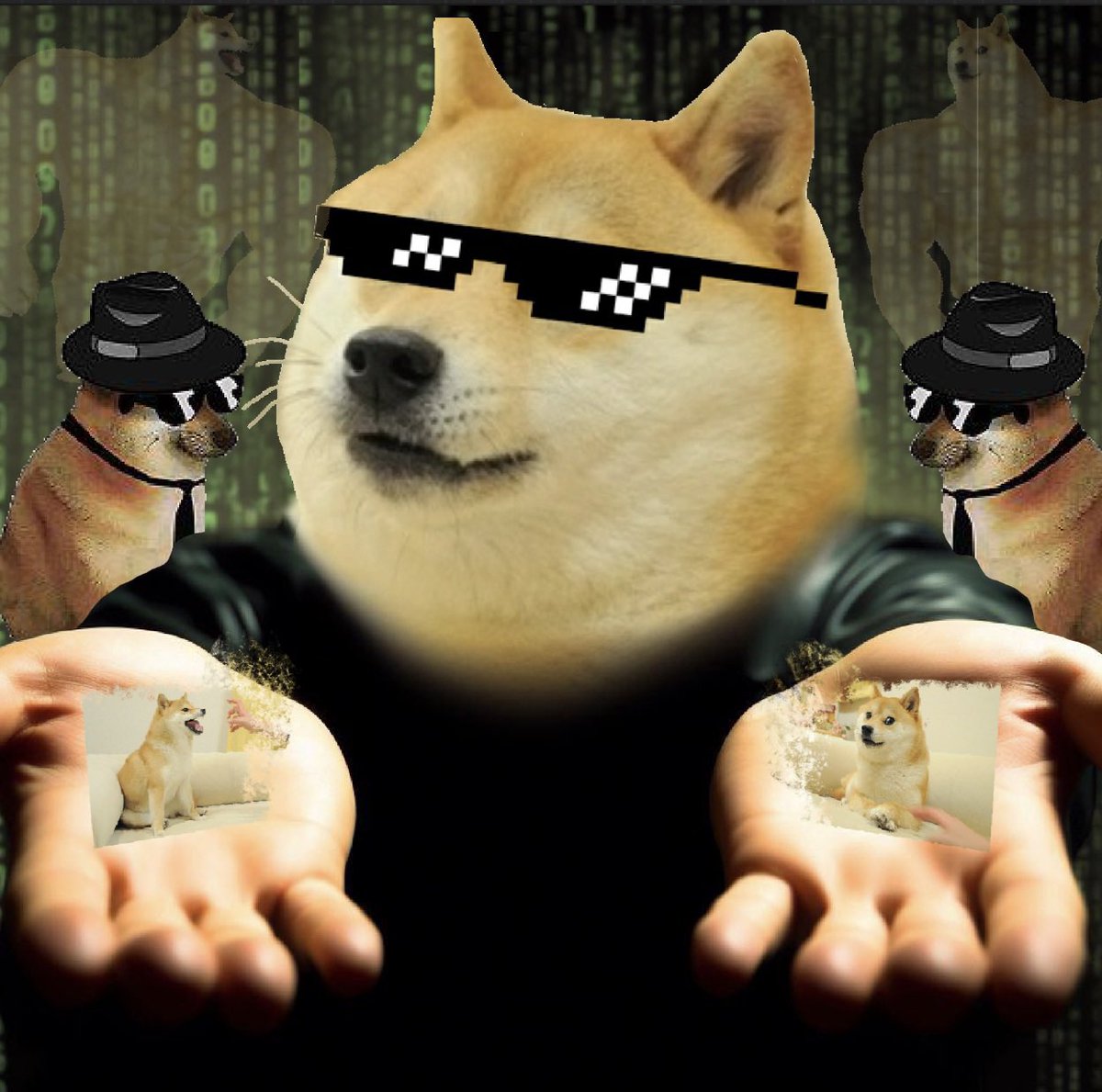 May I introduce you to... Doge NFTs