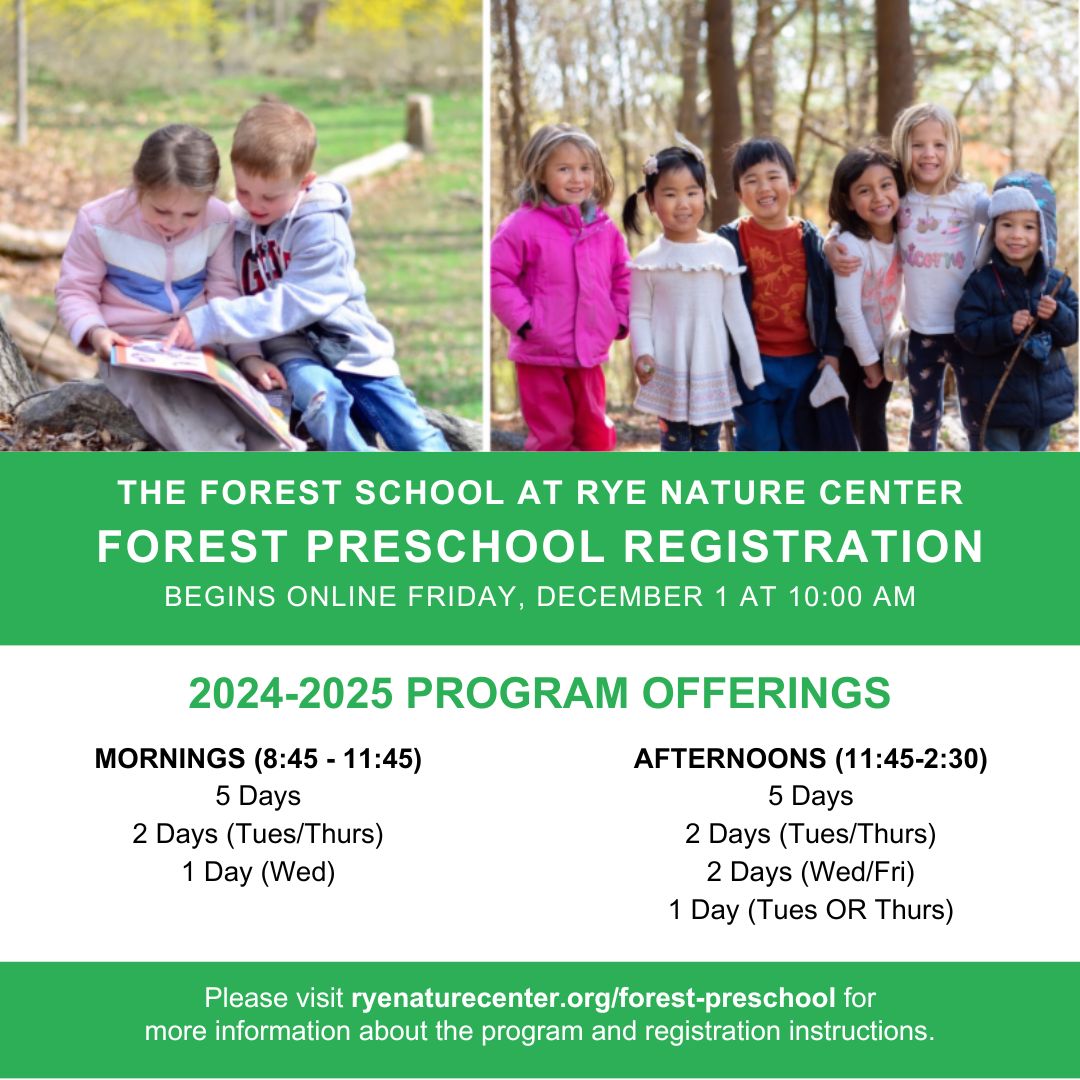 RyeNatureCenter's tweet photo. All preschool registration begins this Friday at 10:00 am. https://t.co/4VMB5MLEFp https://t.co/1hvsCaey9N