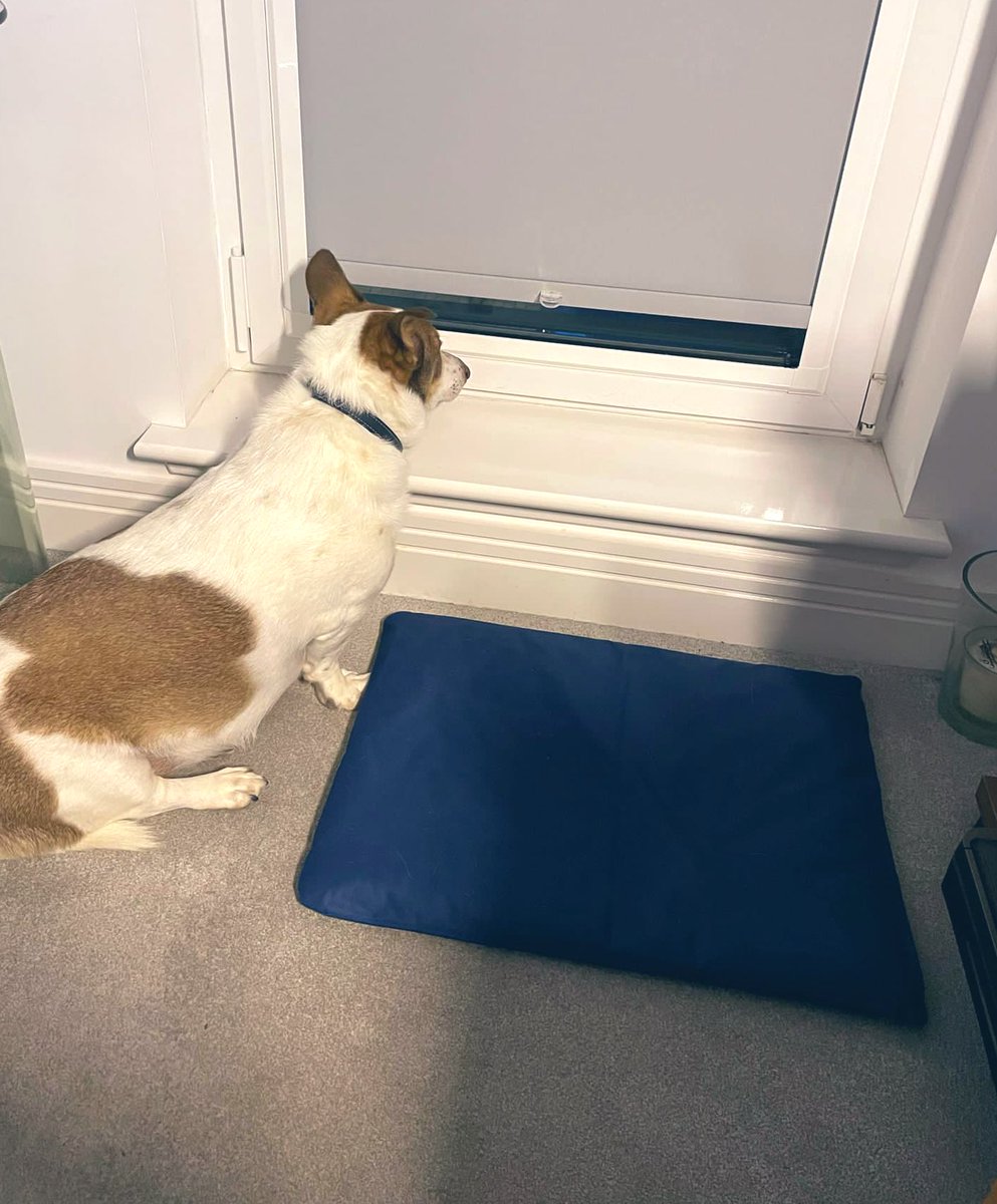 contactcleo's tweet photo. On way home after a day in #Glasgow . A good day made even sweeter when I’m sent pics of my wee boy waiting for me coming home https://t.co/Z2hxk8UPfz