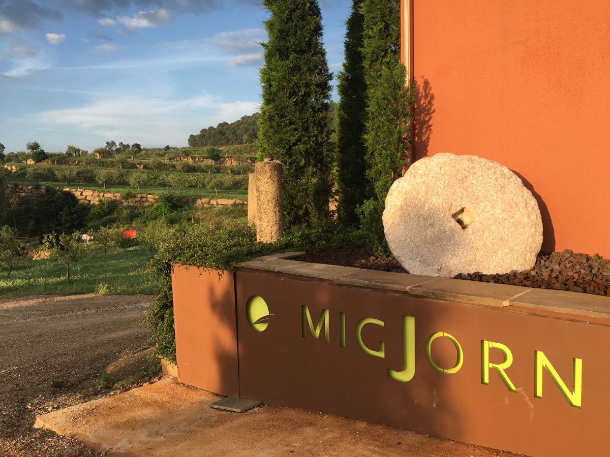 Coneixes la història d'Oli Migjorn? És un projecte jove i apassionant, que neix el 2007, amb la voluntat de recuperar la finca de Migjorn (Navàs). Actualment, el projecte produeix i comercialitza oli verge extra de les varietats Corbella, Arbequina i Picual.
