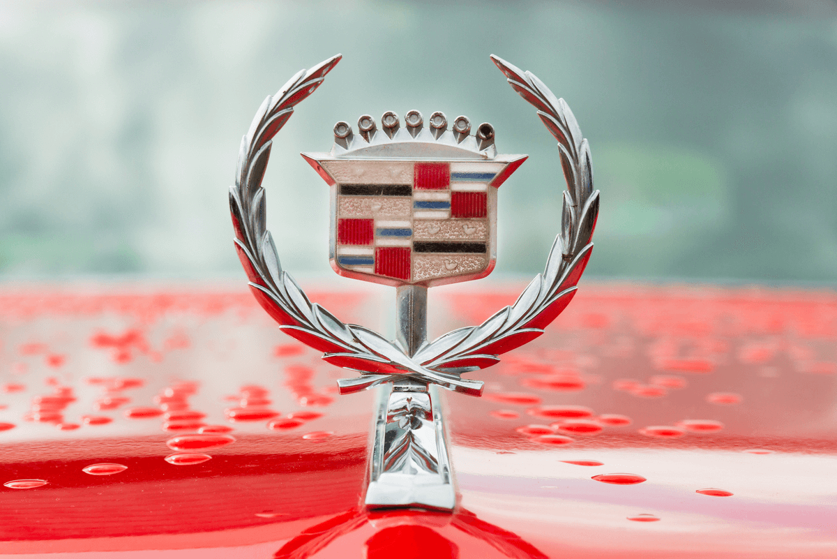 🚙😎 Discover the perfect used #Cadillac #SUV for your needs and find the luxury and performance you desire with #Salvagebid 👉: cutt.ly/uwOnxCNO