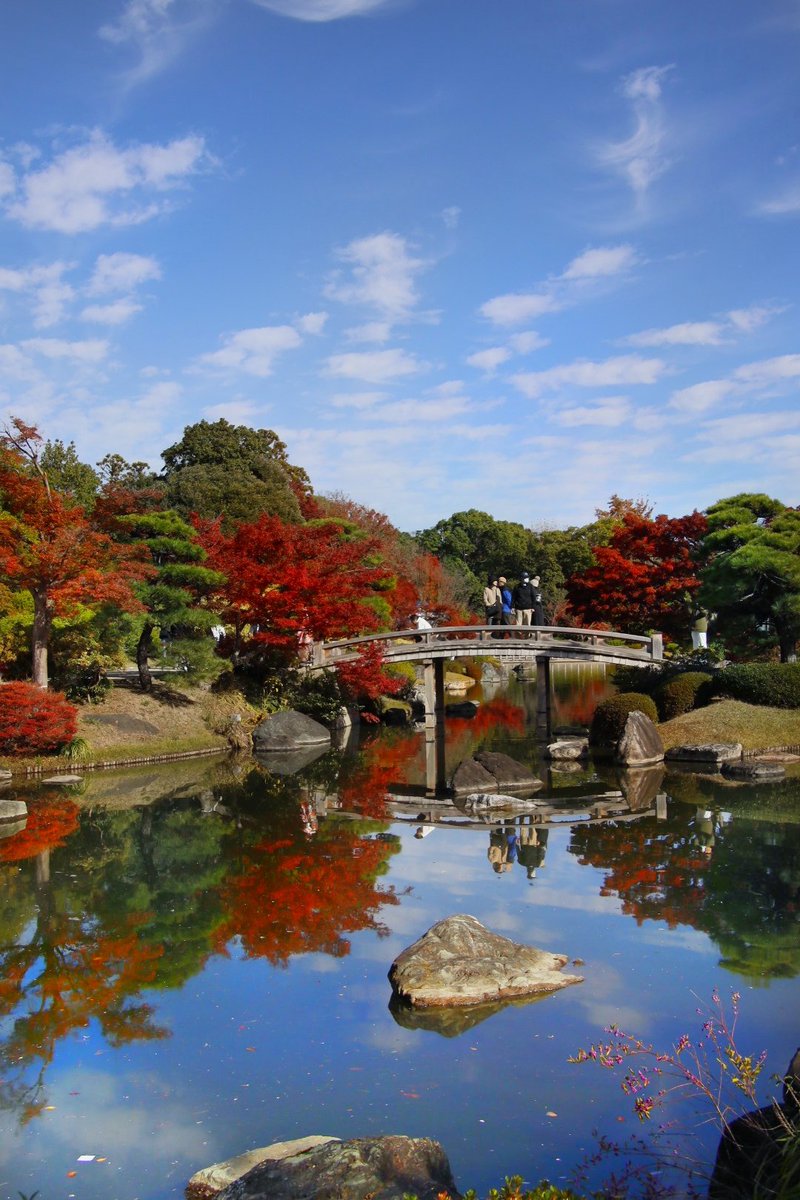 皆さん！
おはようございます○(´∀｀)○
11月が終わうとしております😲あと一ヶ月で今年が終わるなんて😲　普段出来ないお掃除を数日前から始めております😔年末年始がすぐソコですね(⁠ ⁠◜⁠‿⁠◝⁠ ⁠)⁠💦

今日も宜しくお願い致します🙇
＃紅葉　＃ドウダンツツジ
