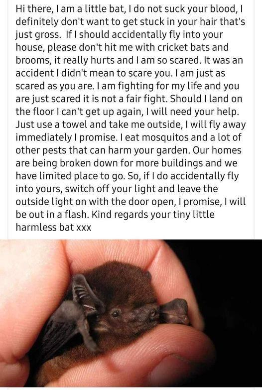 NeilAda06141364's tweet image. 