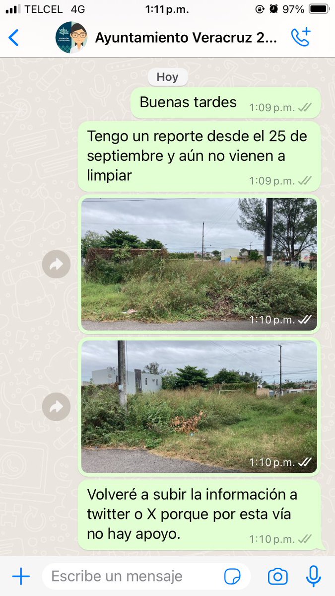 vale_riou's tweet photo. Tiene más de 2 meses que se reportó esta situación y aún no se lleva a cabo la limpieza @PatyYunes @AyuntamientoVer @ChismitoJarocho @xeunoticias @maryjosegamboa https://t.co/VHS8hSenBt