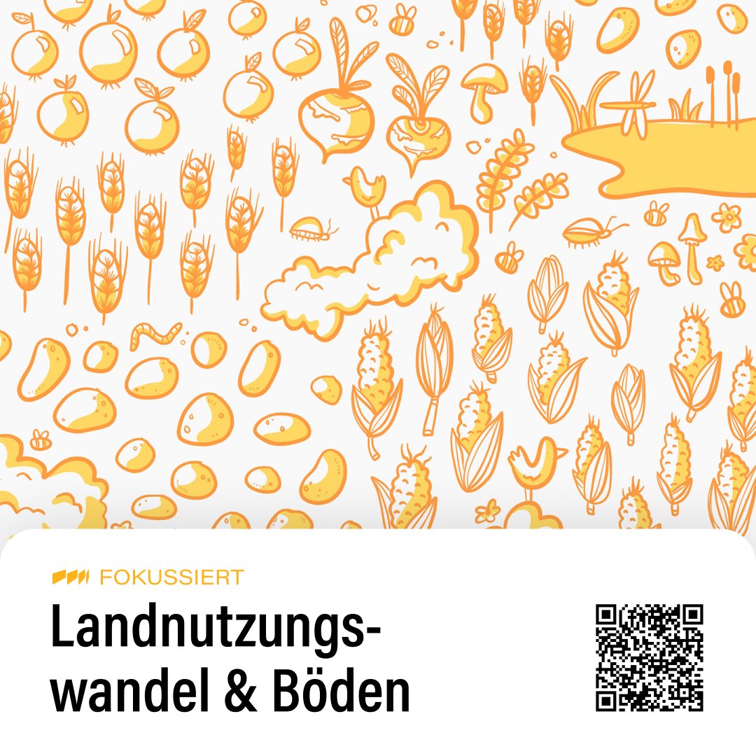 Bürger:innenräte  beschlossen die Umstellung auf eine rein vegane Ernährung. Das machte  riesige Flächen frei, die für die Tierhaltung benötigt wurden. Nun ist  Platz für Wälder, Feuchtgebiete und Naturschutz, so dass große Mengen  CO2 wieder gebunden werden.
#Klima #Deutschland