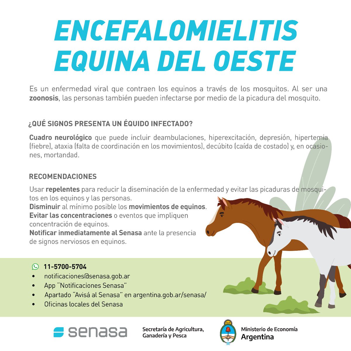 SenasaAR's tweet image. ⚠️ ENCEFALOMIELITIS EQUINA DEL OESTE

Es una enfermedad viral que contraen los equinos a través de la picadura de mosquitos. 

ℹ️ Creamos un micrositio con los signos clínicos, recomendaciones e información actualizada sobre la situación epidemiológica.

➡️argentina.gob.ar/senasa/encefal…