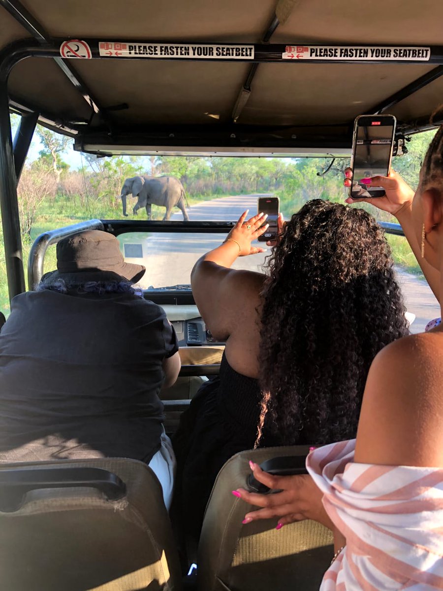 Heita, Mzansi! Our Mpumalanga adventure kept getting better!

We explored the panorama route, trust us when we say, we were amazed by Bourke's Luck Potholes' natural wonders. The Three Rondavels left us breathless with panoramic perfection.