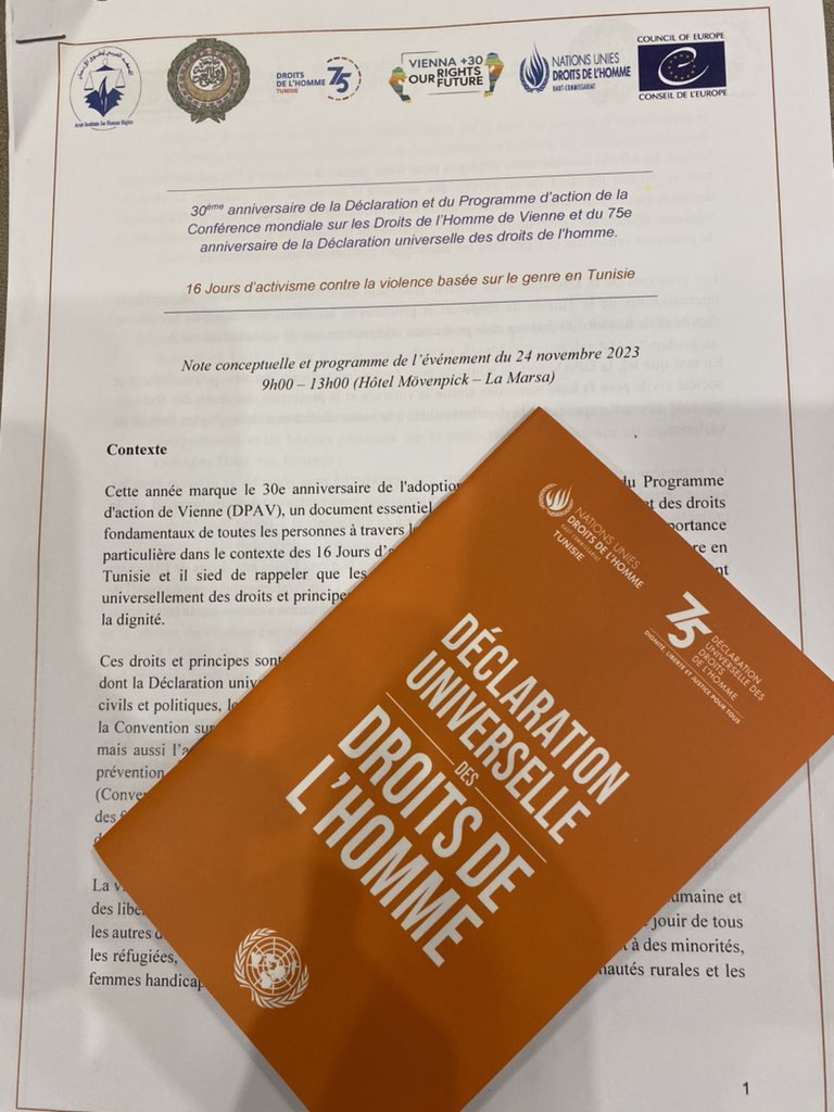 30 Jahren der Wiener Menschenrechtskonferenz und “Orange the World", Kampf gegen Gewalt gegen Frauen
in Tunis.
Helmut Tichy 🇦🇹  #GREVIO  bei einer Konferenz der österreichischen Botschaft Tunis; in Partnerschaft mit #Europarat und #UNHCHR
 #GenderBasedViolence.