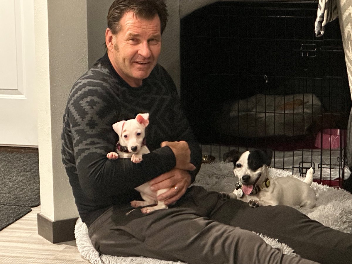 Faldo’s Weims & two ☘️Irish Jack ☘️🇺🇸🇬🇧 tweet media