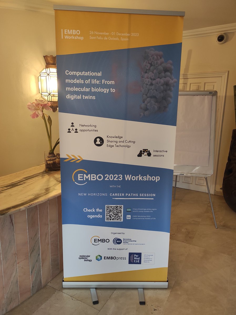 Dr Anna Niarakis tweet media