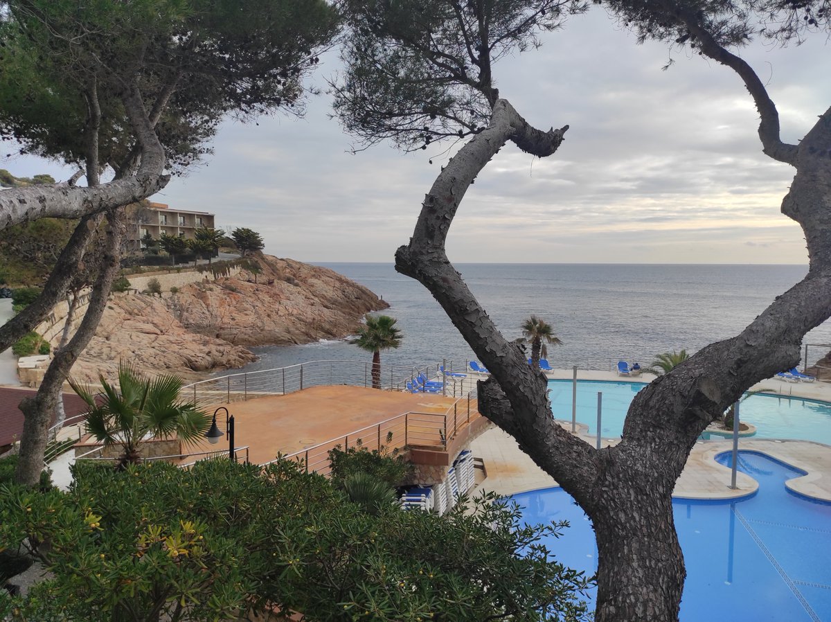 Dr Anna Niarakis tweet media