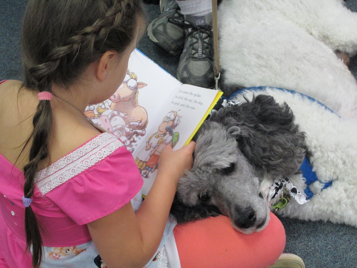 We still have openings for Sit, Stay, READ at Eastlake this Saturday, Dec. 2, at 10 or 11 am. Kids can practice reading skills by reading to a therapy dog!  Register: 10 am: bit.ly/3SitnPS  11 am: bit.ly/3sc1E8O