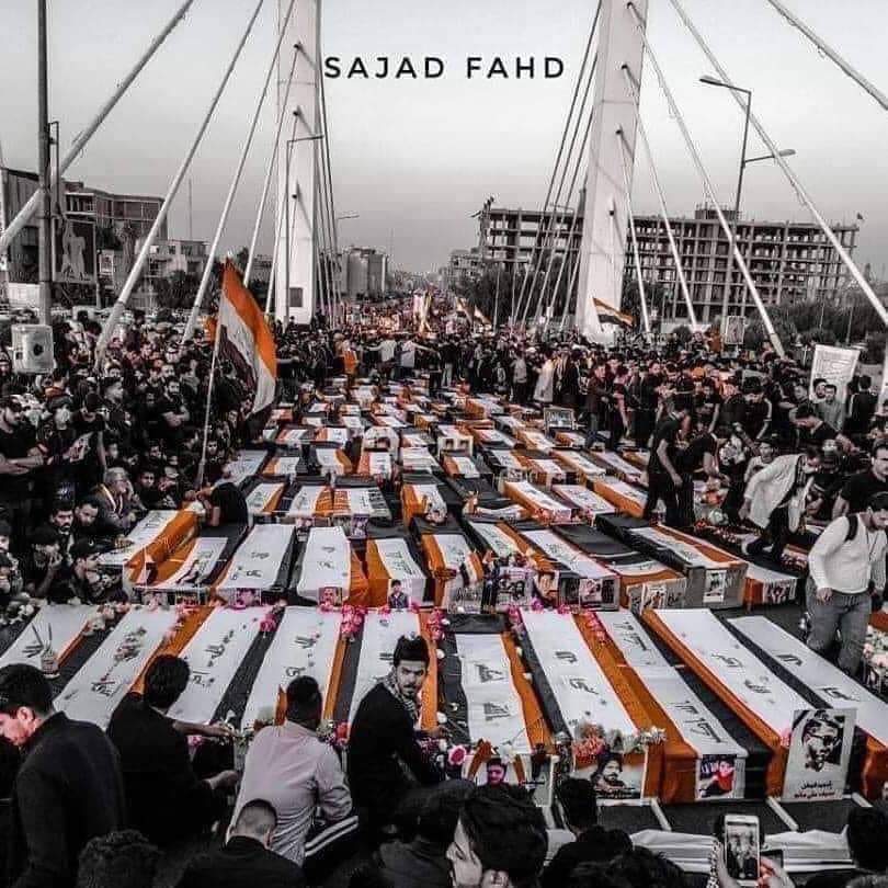 الزيتون في بلادي حقل موتى.