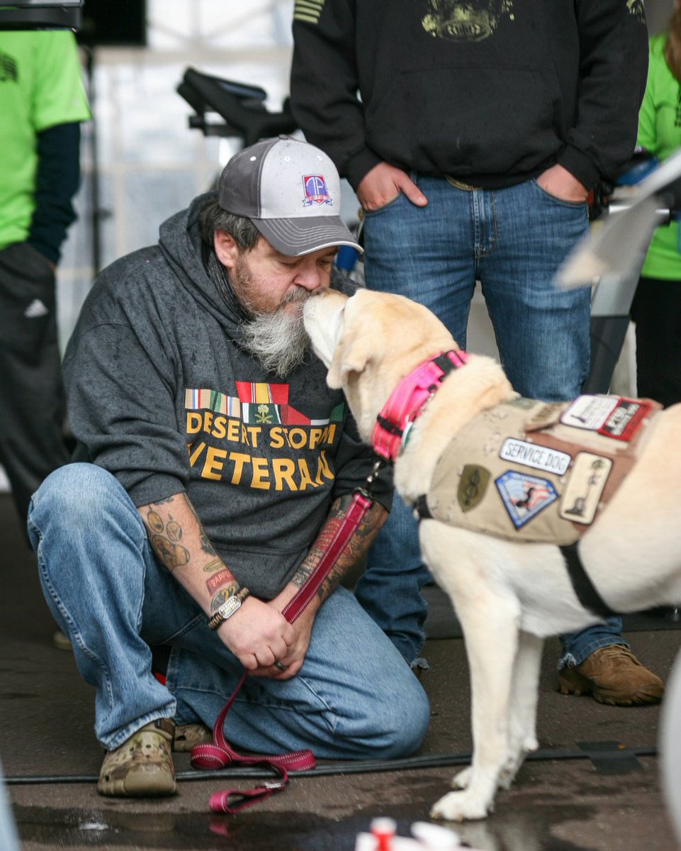 If you are a Veteran seeking a service dog, contact Team Foster at us@TeamFoster.org, and we will connect you with an accredited dog trainer in your area.