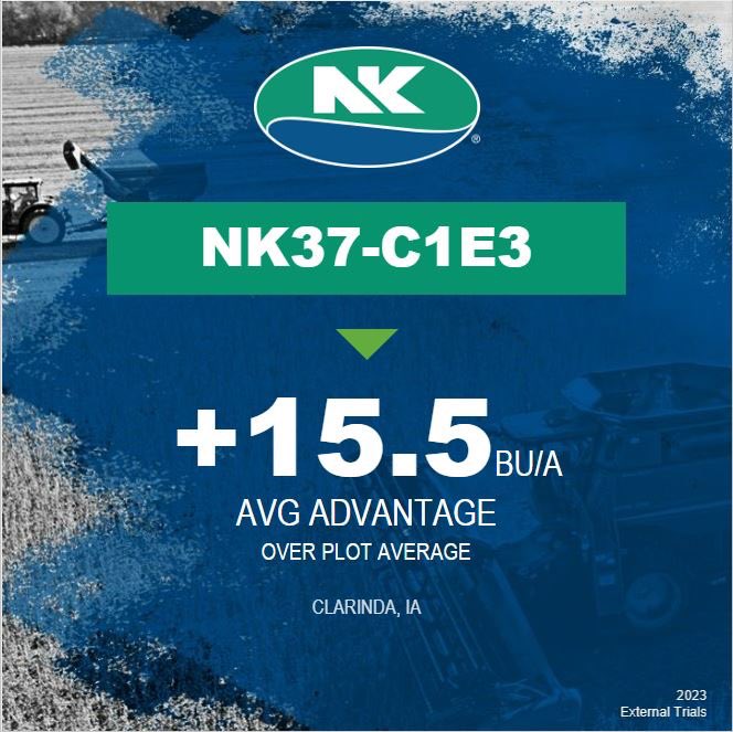 NK_Missouri's tweet image. 💥 NK37-C1E3 places🥇in Clarinda, IA yielding 78.3 Bu/A! 💥

#NKHarvest23 #SuccesswithNK #Harvest23 @NKSeeds