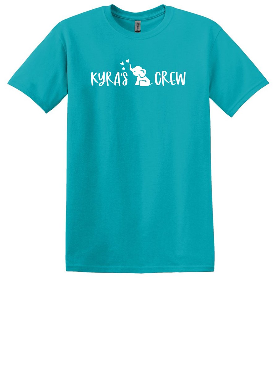 If you’d like to purchase an aqua blue t-shirt to support the Smith family, please click below.  T-shirts will be available for purchase through Monday, December 4th and will be distributed to classrooms during the week of December 18th
d70schools.revtrak.net/FA/CFA/kyra-t-…