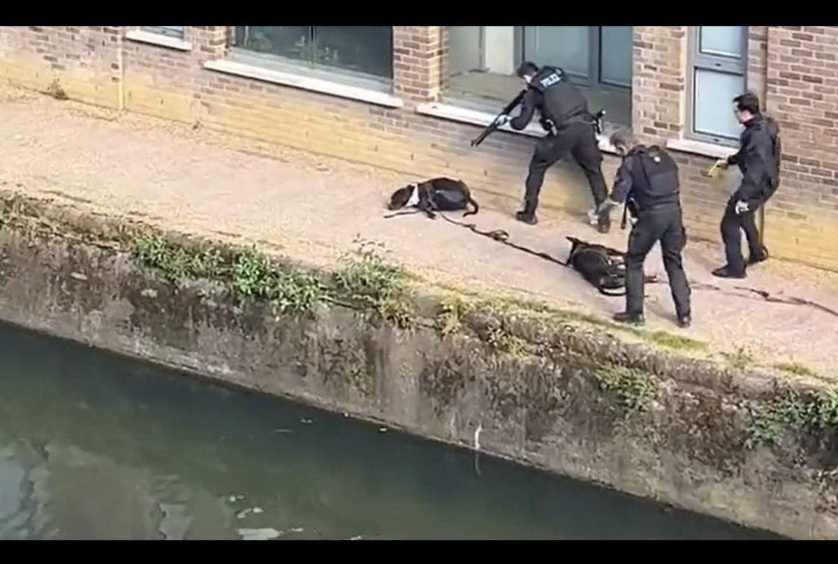 markbigbelly's tweet photo. @metpoliceuk @swpolice Try using this tactic on the guilty instead of the innocent . https://t.co/b3qNxhLzi8