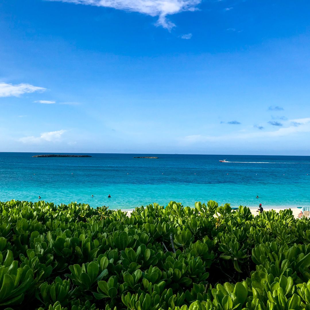 Bahamas_Realty tweet picture