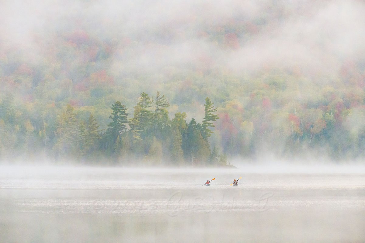 Carl Heilman II tweet media