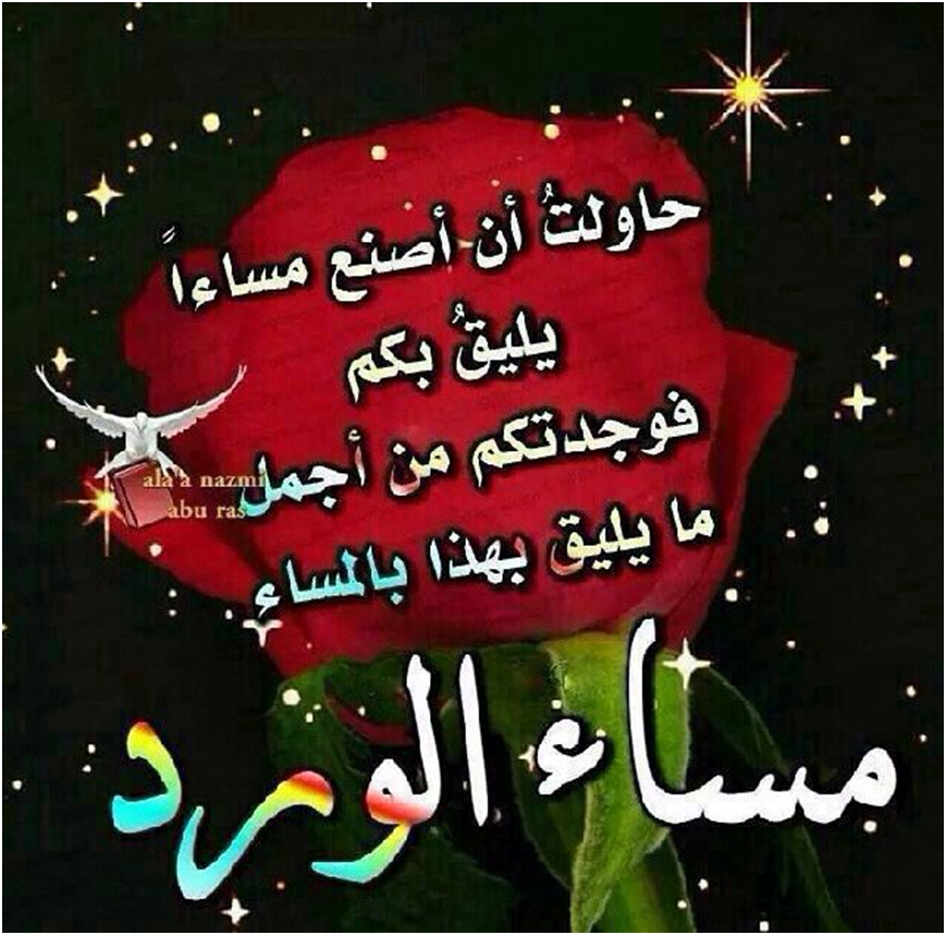 osama mohammed tweet media