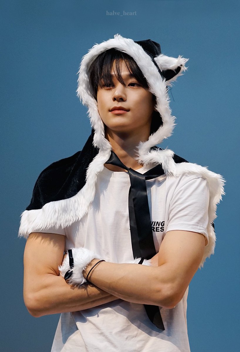 strong cat 🐈‍⬛