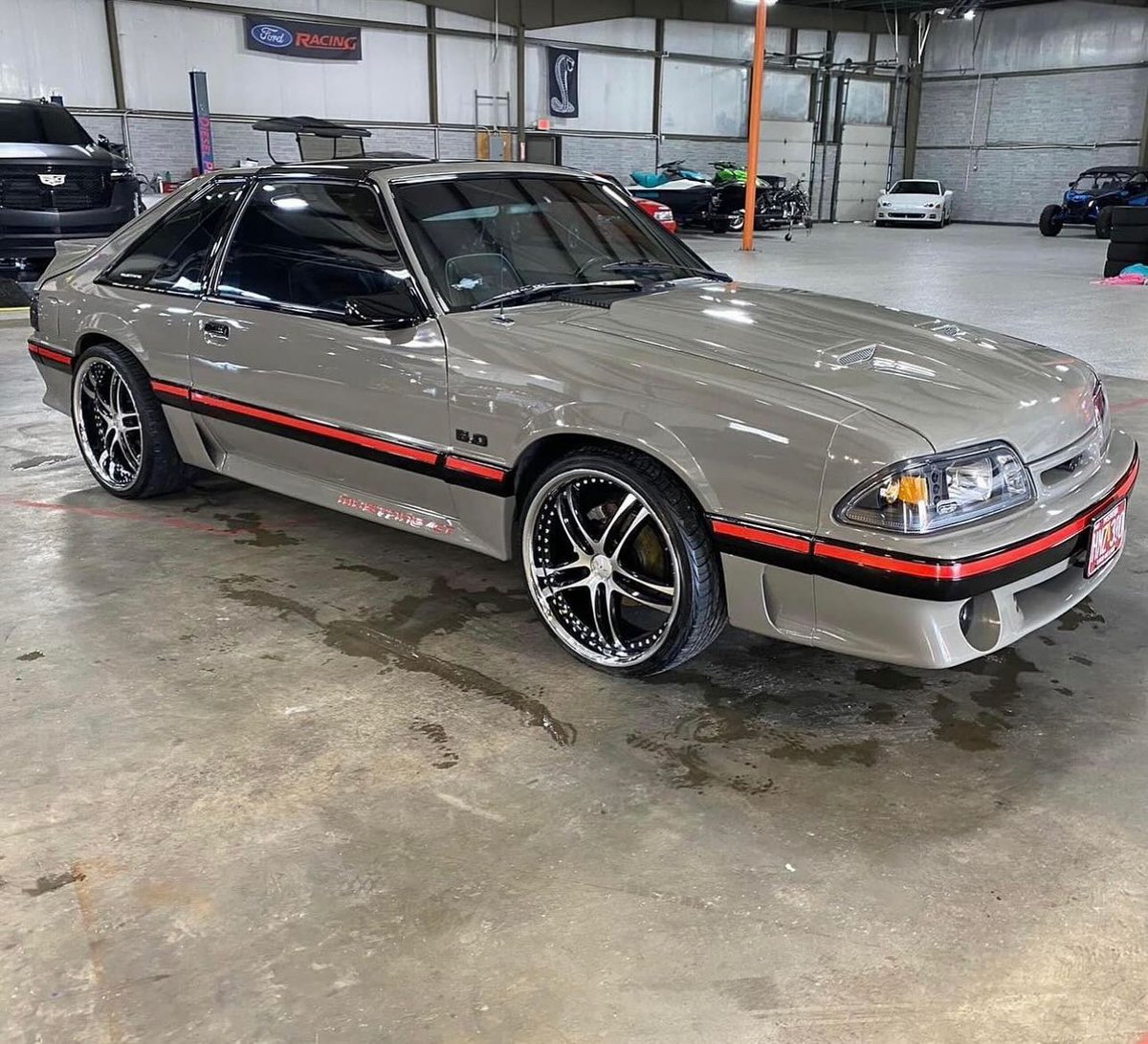 StangBangers's tweet image. shiny fox ...

#foxbody #foxbodymustang #foxbodystang