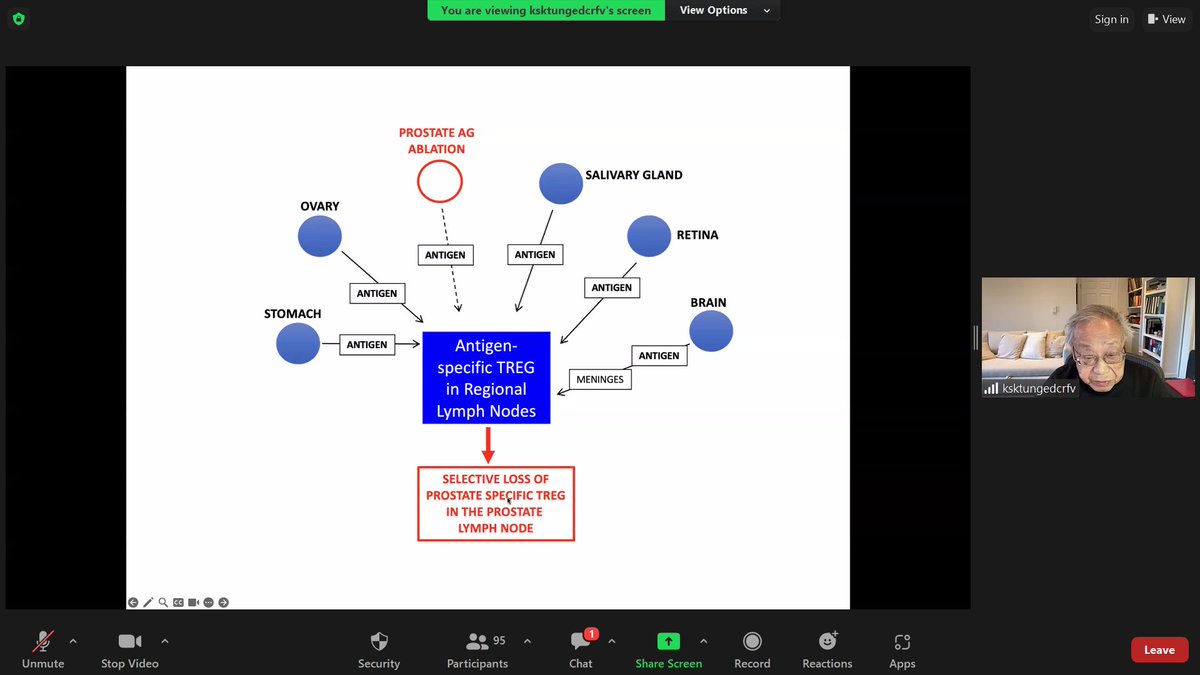 S_bhushan_1's tweet image. Our 3rd Virtual Mini-Symposium on #MaleReproductiveImmunology kicks off with Prof. Tung's talk on the role of Tregs and their pivotal function in immune tolerance within male reproductive organs. 🧑‍🔬👨‍🔬 Join us for groundbreaking insights! #MaleReproImmunology #ResearchInFocus