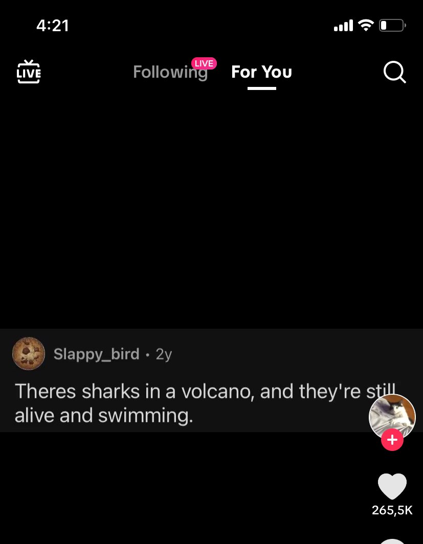 TO MUSI BYC FAKE NO PLIS