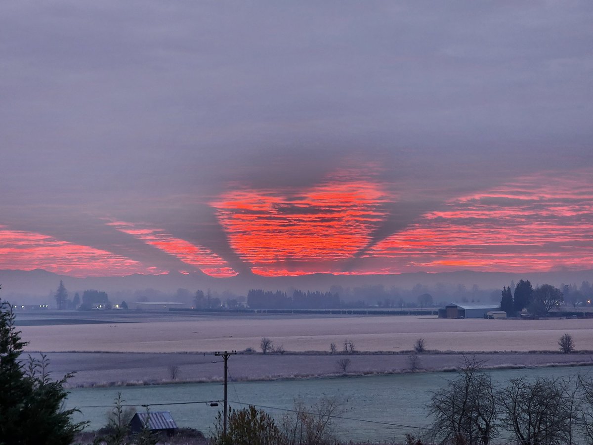 anRCTIDrew's tweet photo. Today's sunrise is brought to you by @adidasoriginals https://t.co/A2vLdzwcmc