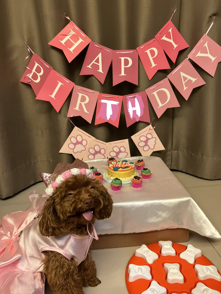 BonifacioAc's tweet photo. BIRTHDAY NI EEVEE https://t.co/uLkgihRLrp