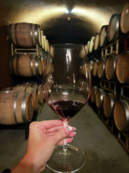 theivynapa tweet media