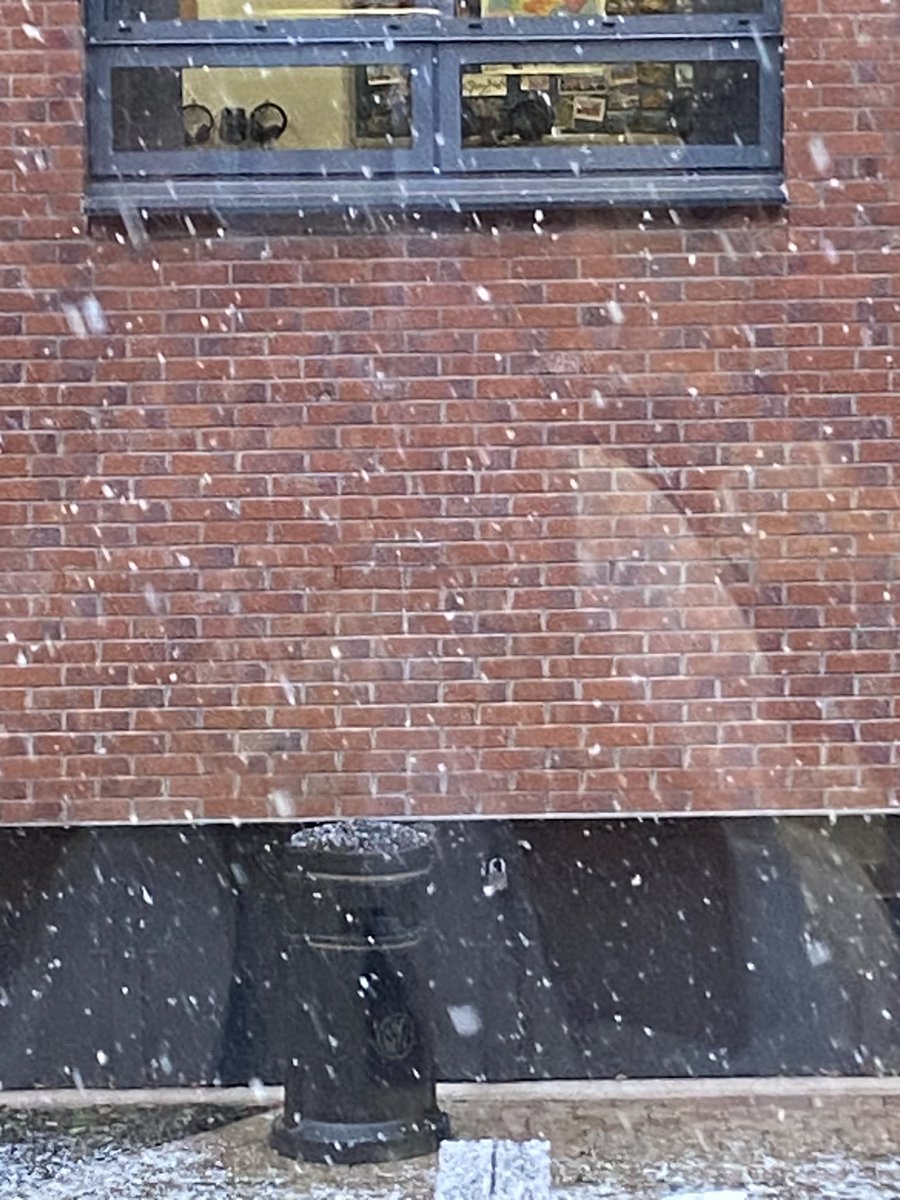 Michelle tweet media