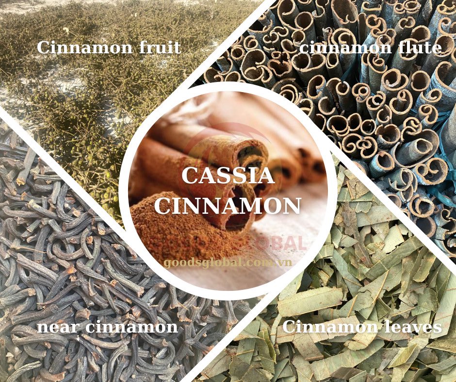 ManhQuyetRuby's tweet photo. Products from Vietnamese cinnamon. Products are grown, exploited and processed in Yen Bai province. Yen Bai cinnamon is the type of cinnamon with the best essential oil content. 
Contact WhatsApp purchase: (+84) 386786222
#cinnamon
#export
#import
#goodsglobal https://t.co/XhrMj3Xg17